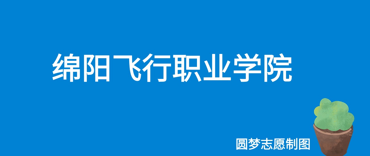 2024绵阳飞行职业学院录取分数线（全国各省最低分及位次）