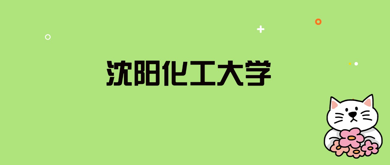 2024年沈阳化工大学录取分数线是多少？看全国28省的最低分