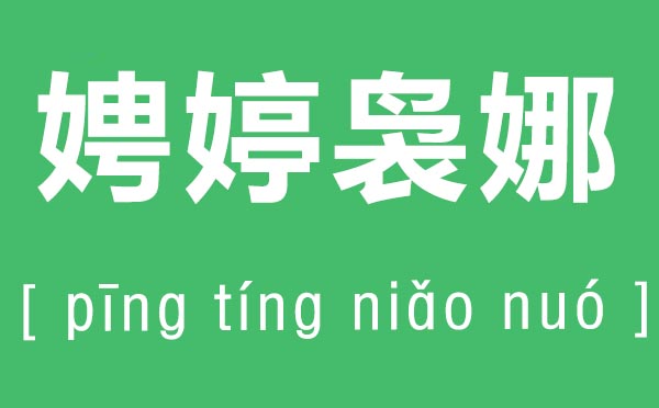 娉婷袅娜怎么读,娉婷袅娜的拼音是什么,娉婷袅娜是什么意思