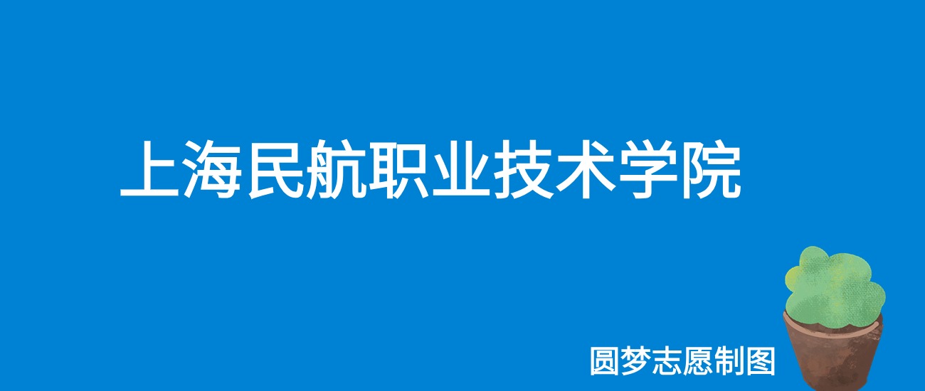 2024上海民航职业技术学院录取分数线（全国各省最低分及位次）