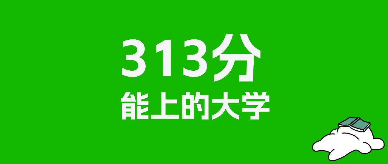 湖南高考313分能上什么大学？2025年可以读哪些学校？