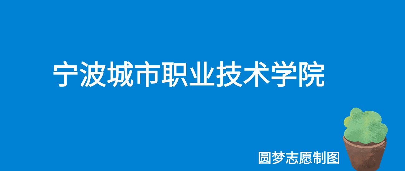 2024宁波城市职业技术学院录取分数线（全国各省最低分及位次）