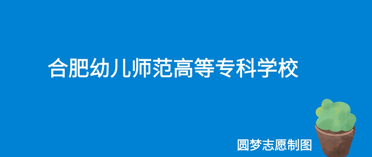 2024合肥幼儿师范高等专科学校录取分数线（全国各省最低分及位次）