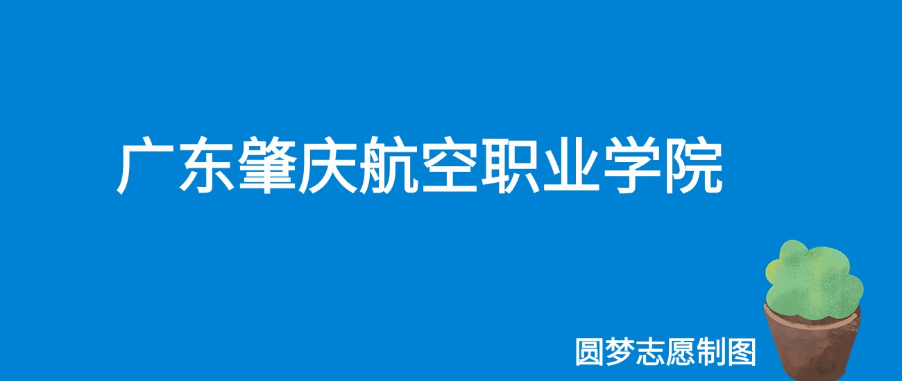 2024广东肇庆航空职业学院录取分数线（全国各省最低分及位次）