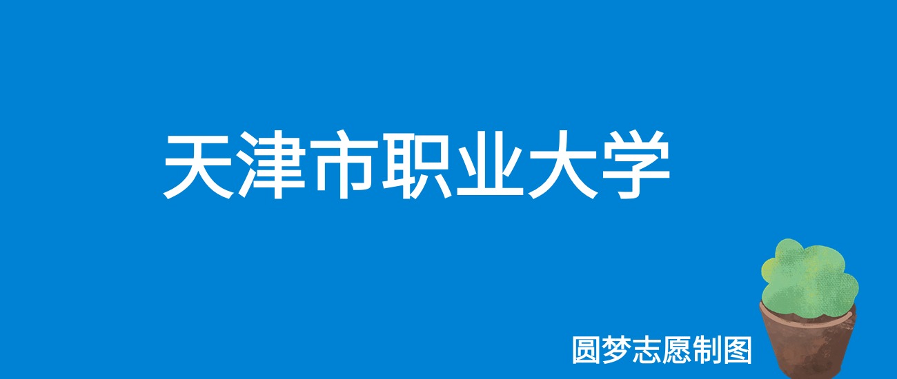 2024天津市职业大学录取分数线（全国各省最低分及位次）