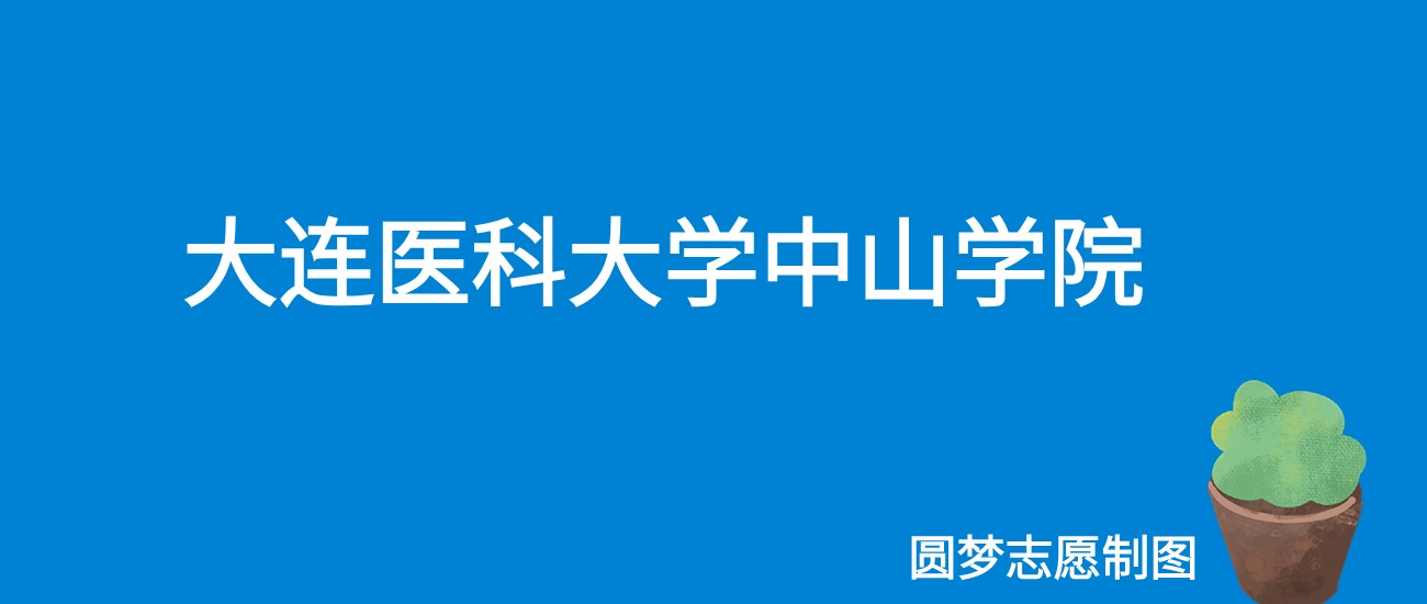 2024大连医科大学中山学院录取分数线（全国各省最低分及位次）