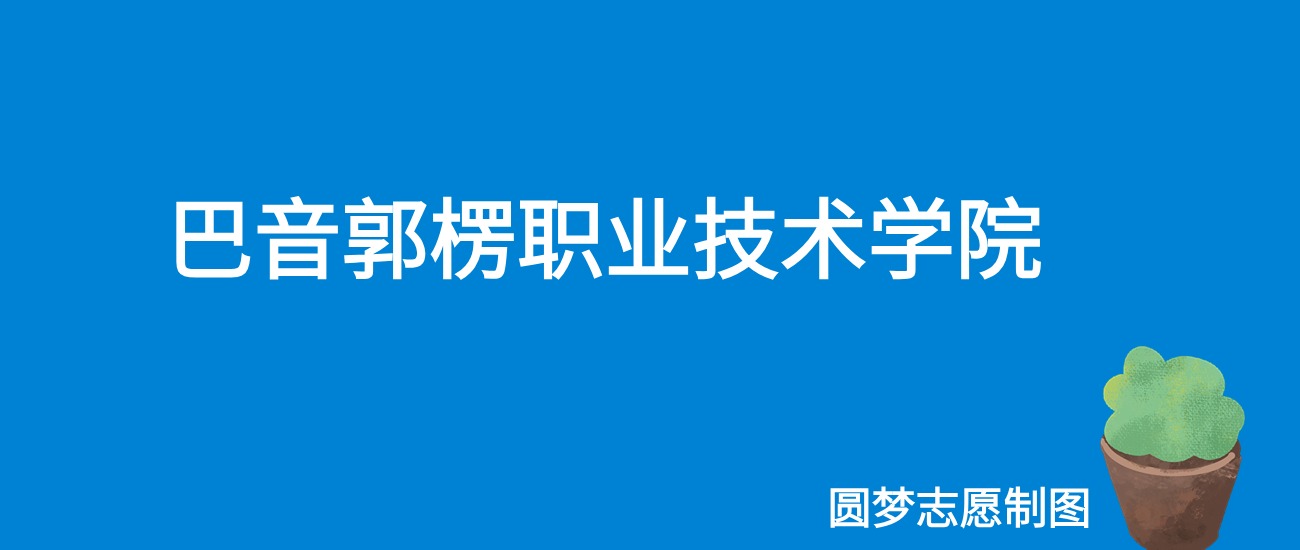 2024巴音郭楞职业技术学院录取分数线（全国各省最低分及位次）