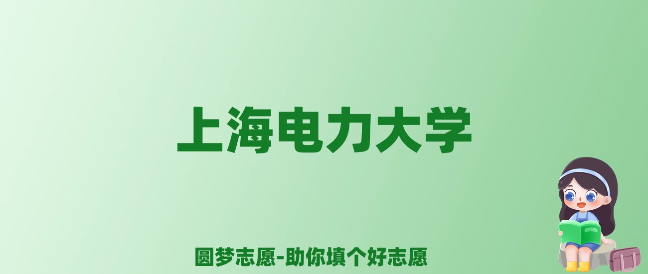 张雪峰谈上海电力大学：和211的差距对比、热门专业推荐