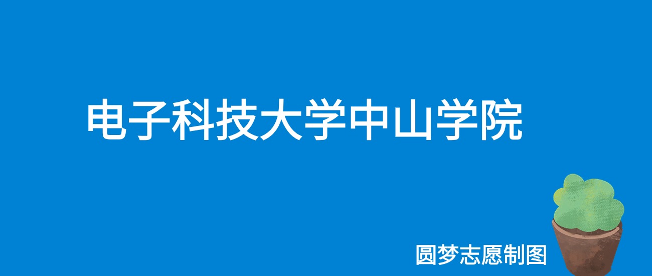 2024电子科技大学中山学院录取分数线（全国各省最低分及位次）