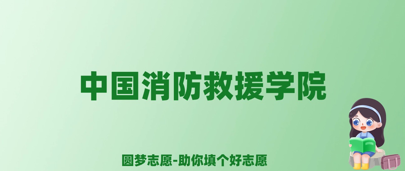 张雪峰谈中国消防救援学院：和211的差距对比、热门专业推荐