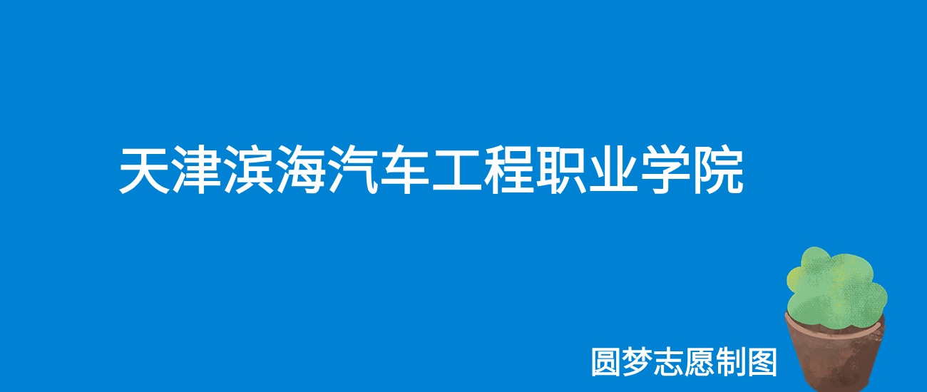 2024天津滨海汽车工程职业学院录取分数线（全国各省最低分及位次）