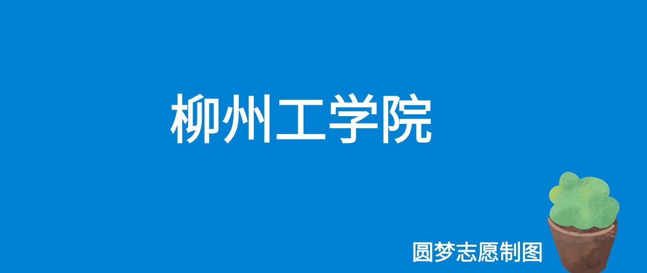 2024柳州工学院录取分数线（全国各省最低分及位次）