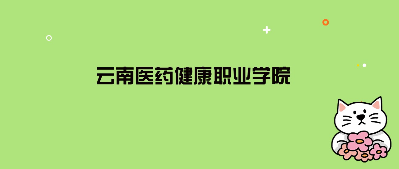 2024年云南医药健康职业学院录取分数线是多少？看全国20省的最低分