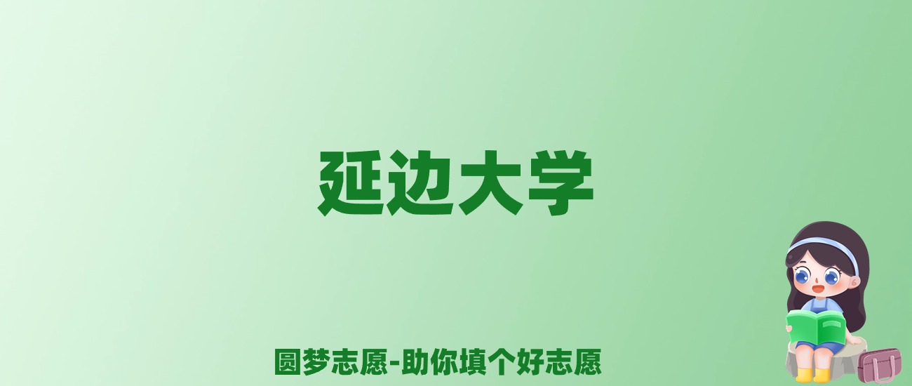 张雪峰谈延边大学：和985的差距对比、热门专业推荐