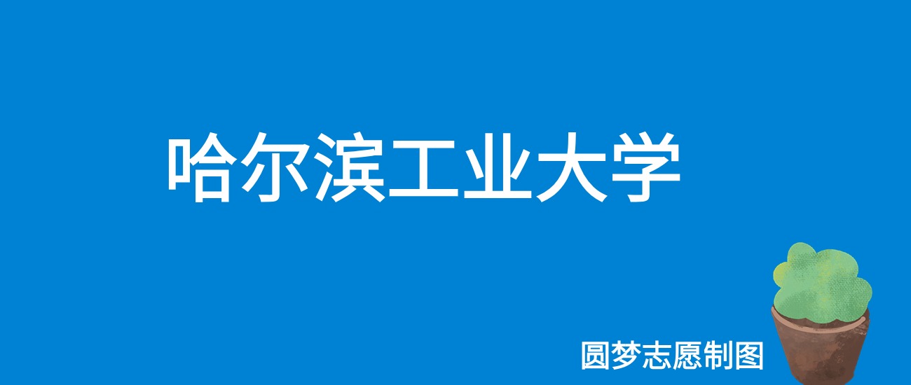 2024哈尔滨工业大学录取分数线（全国各省最低分及位次）