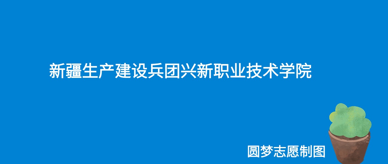 2024新疆生产建设兵团兴新职业技术学院录取分数线（全国各省最低分及位次）