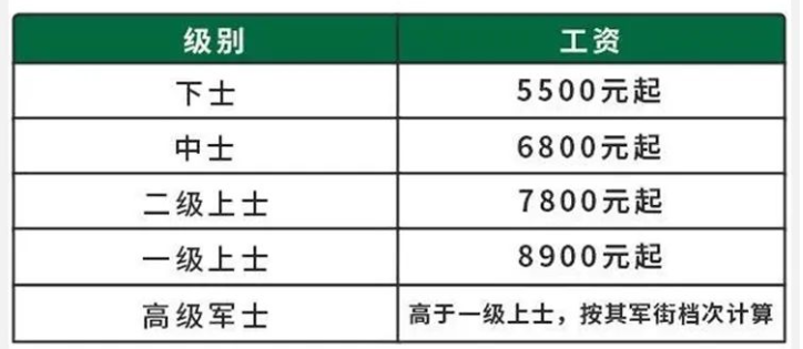 2025直招军士报考条件及要求：附48所定向士官院校名单