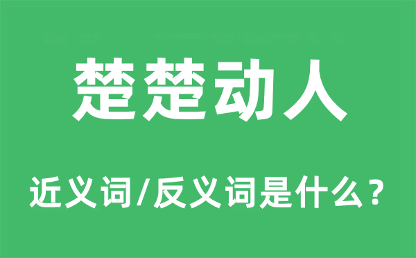 楚楚动人的近义词和反义词是什么,楚楚动人是什么意思