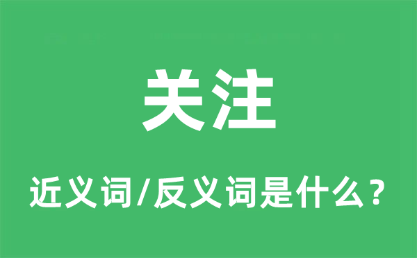 关注的近义词和反义词是什么,关注是什么意思