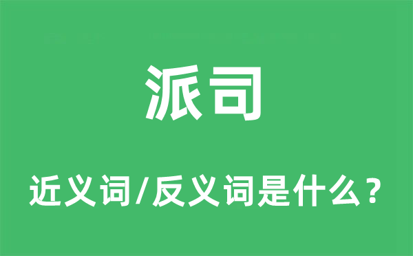 派司的近义词和反义词是什么,派司是什么意思