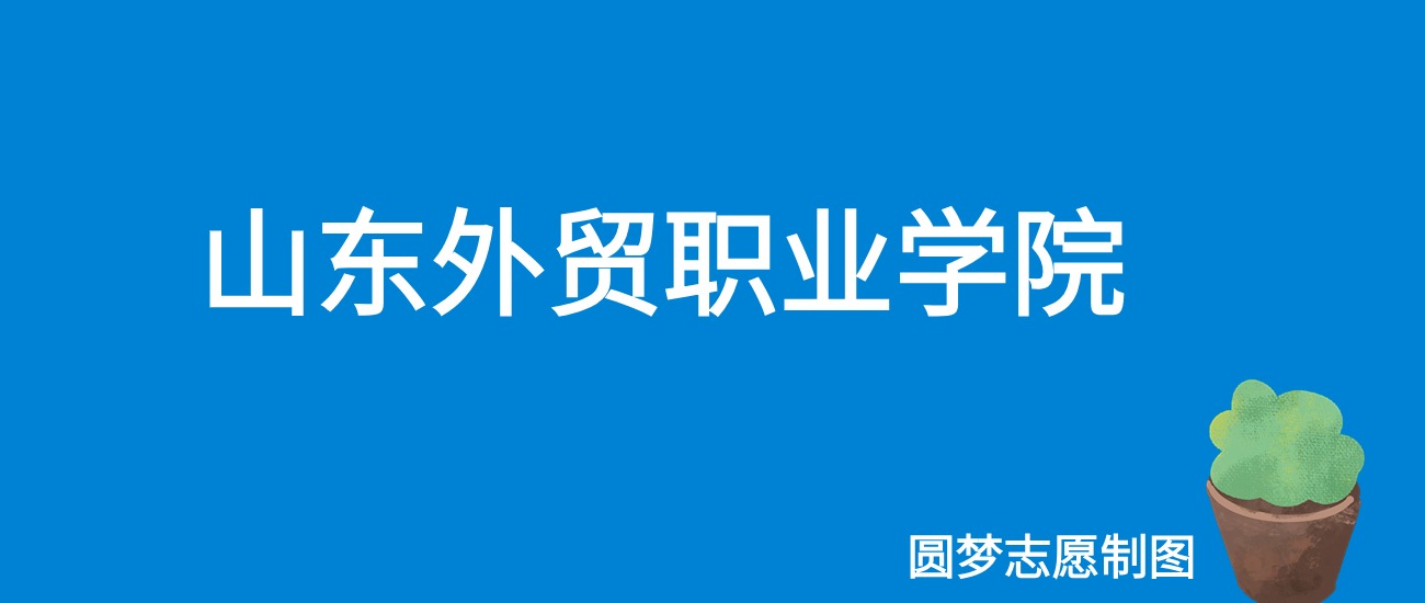 2024山东外贸职业学院录取分数线（全国各省最低分及位次）