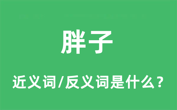 胖子的近义词和反义词是什么,胖子是什么意思