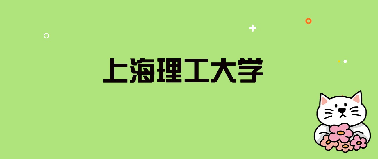 2024年上海理工大学录取分数线是多少？看全国28省的最低分