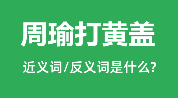 周瑜打黄盖的近义词和反义词是什么,周瑜打黄盖是什么意思