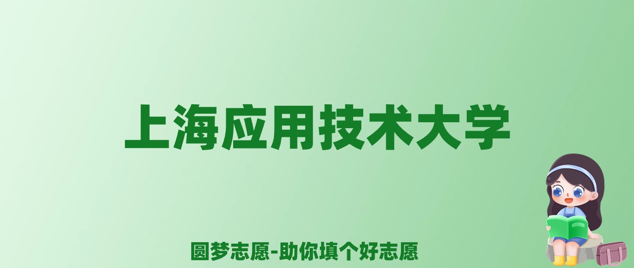 张雪峰谈上海应用技术大学：和211的差距对比、热门专业推荐