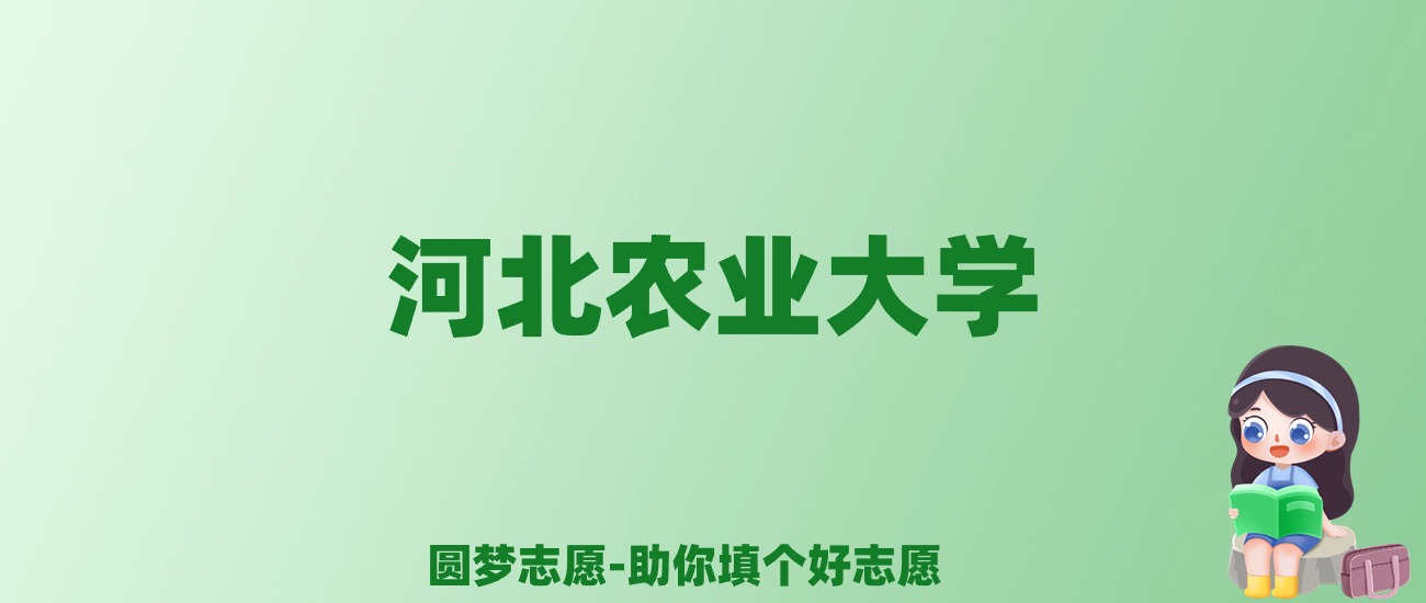 张雪峰谈河北农业大学：和211的差距对比、热门专业推荐