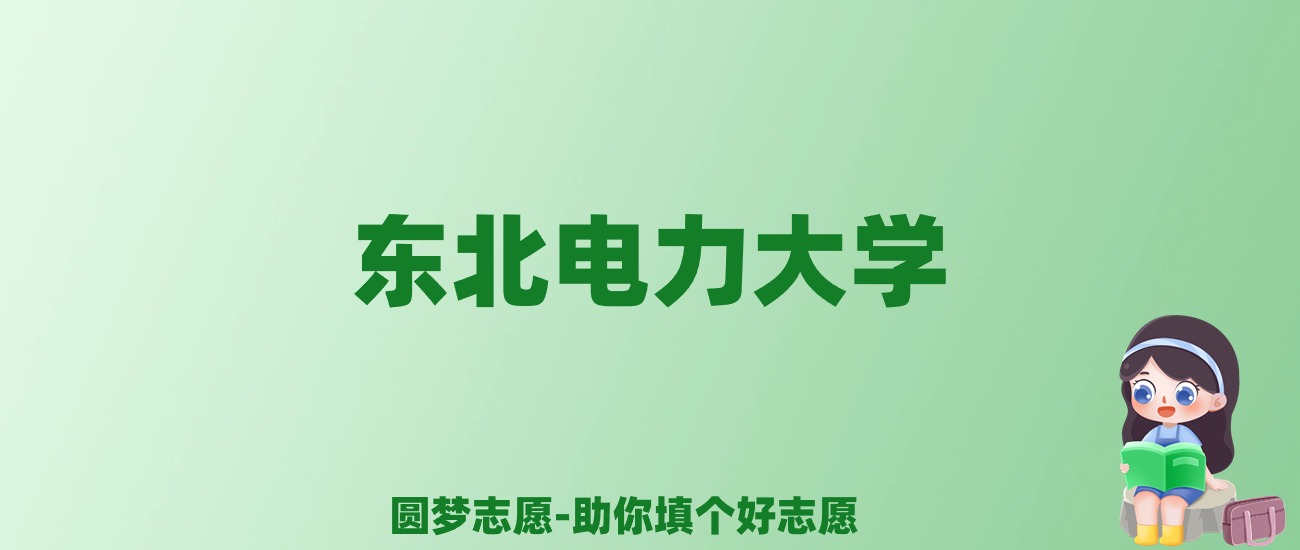 张雪峰谈东北电力大学：和211的差距对比、热门专业推荐