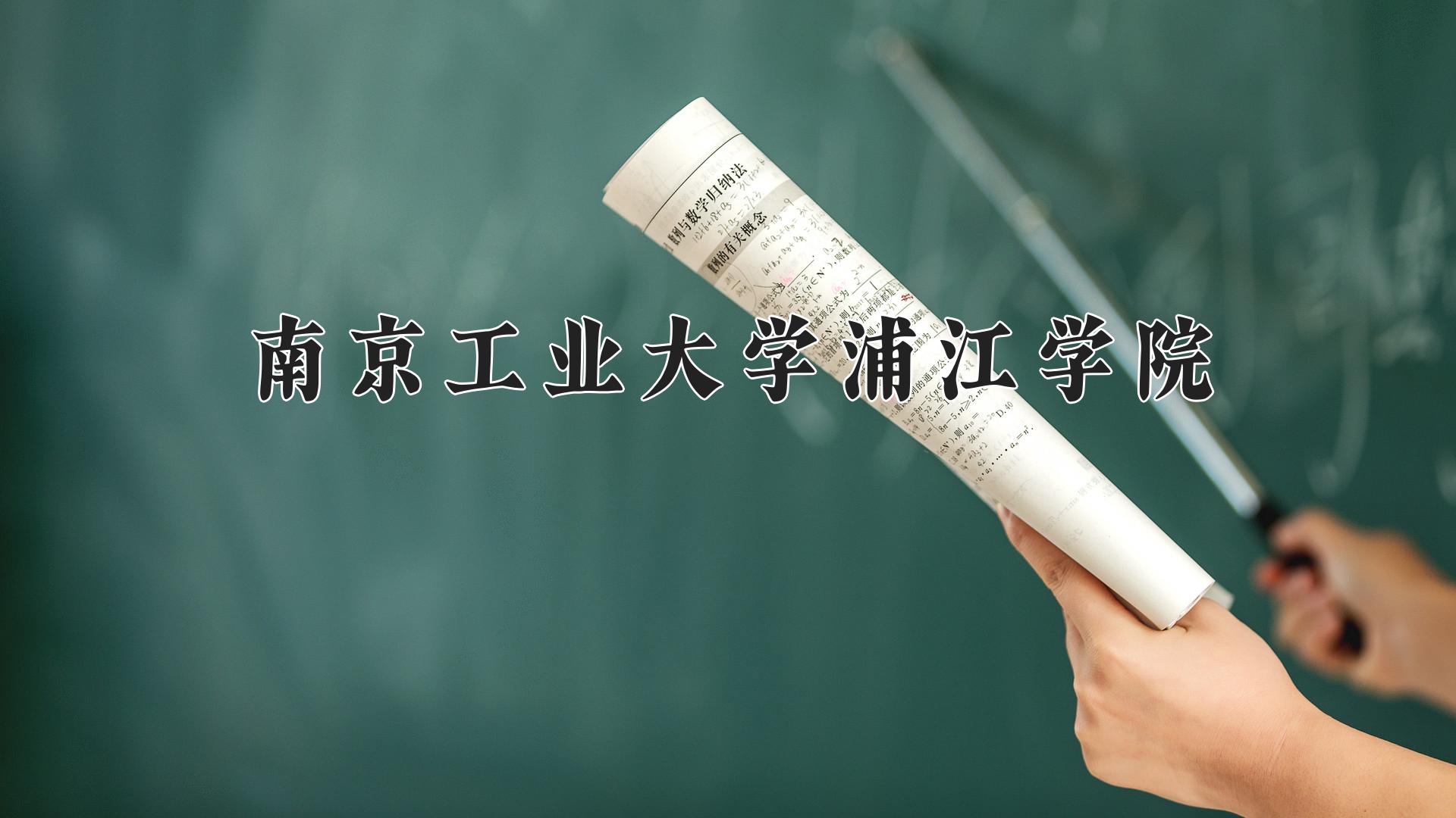 南京工业大学浦江学院