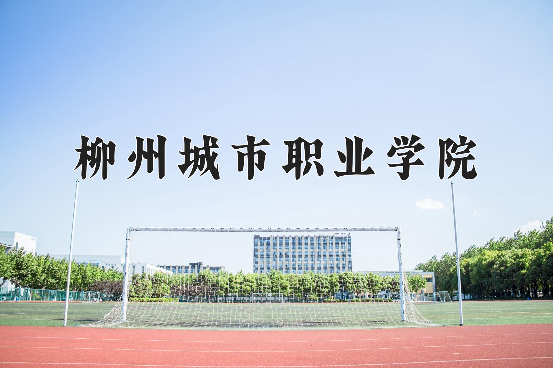 柳州城市职业学院一年学费多少钱及各专业的收费标准(2025参考）