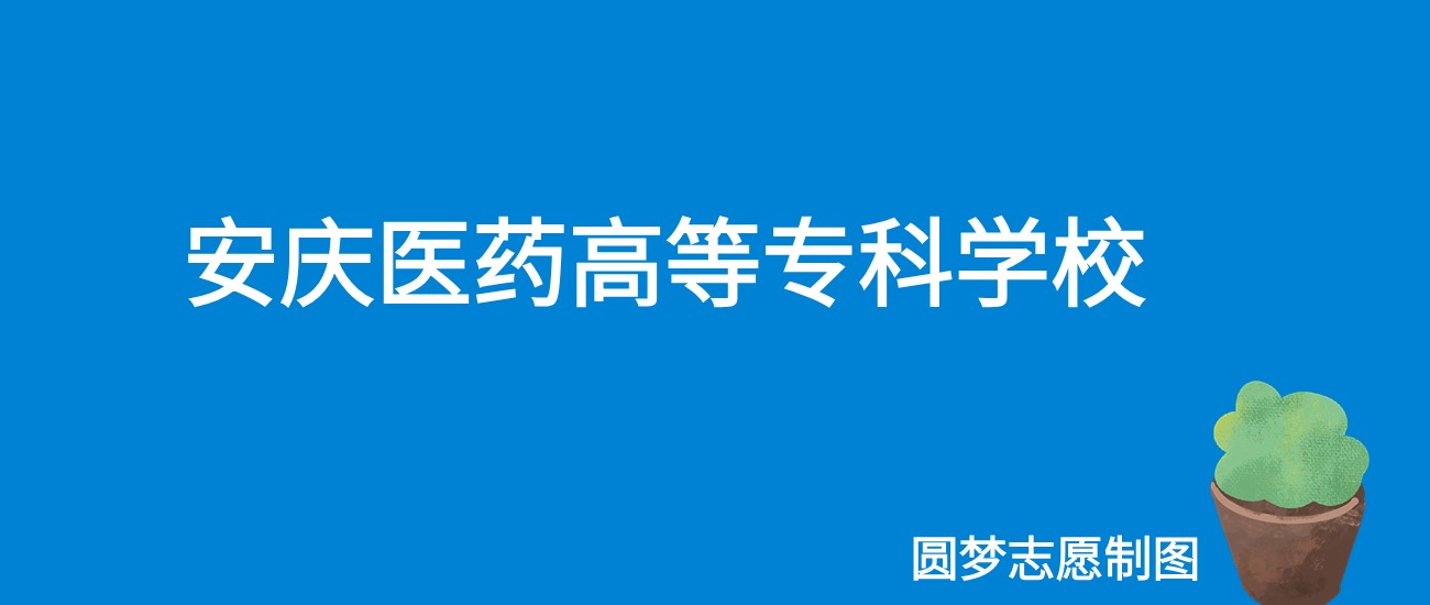 2024安庆医药高等专科学校录取分数线（全国各省最低分及位次）