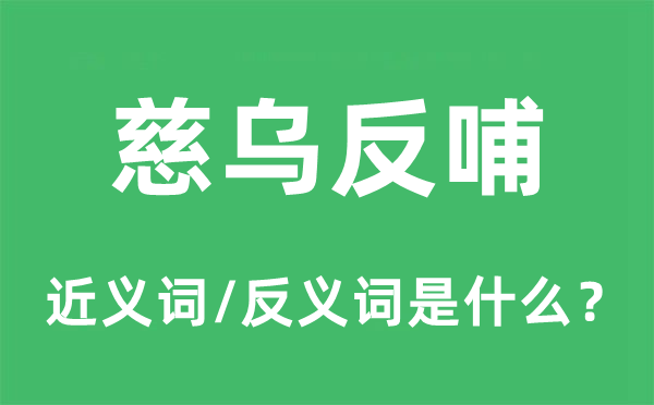 慈乌反哺的近义词和反义词是什么,慈乌反哺是什么意思