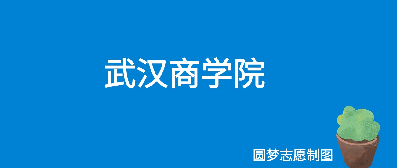 2024武汉商学院录取分数线（全国各省最低分及位次）