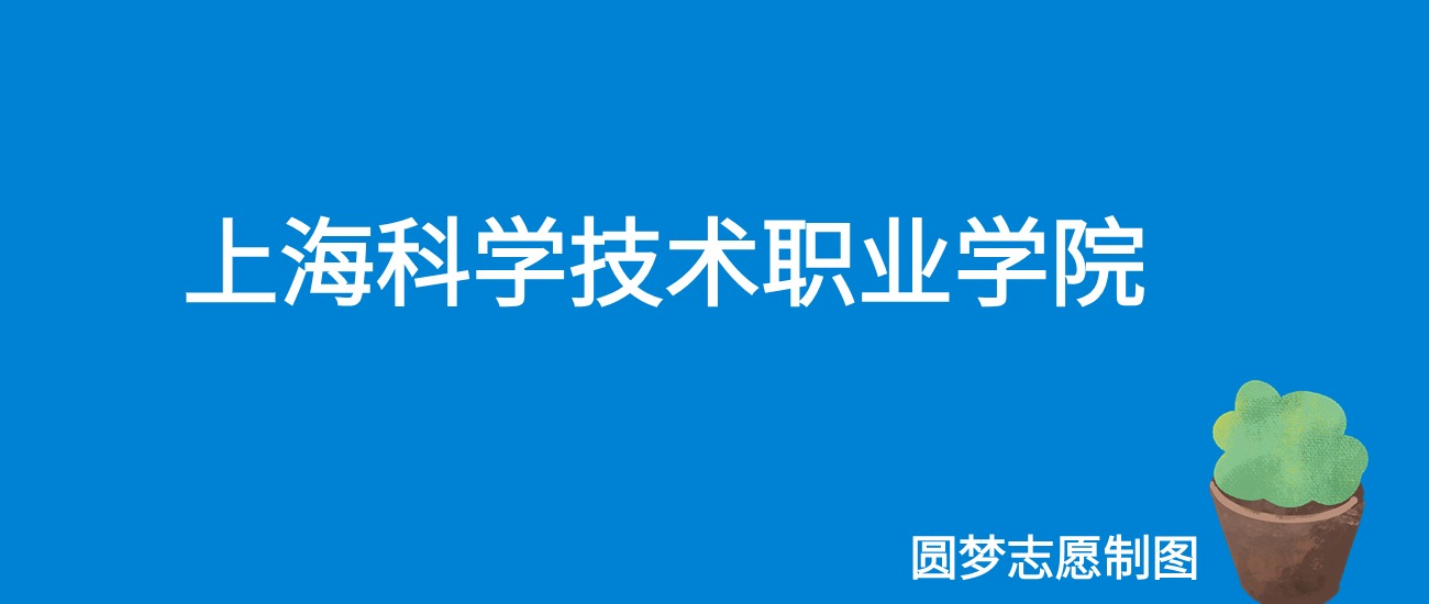 2024上海科学技术职业学院录取分数线（全国各省最低分及位次）