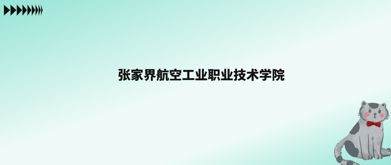 张雪峰评价张家界航空工业职业技术学院：王牌专业是电气自动化技术