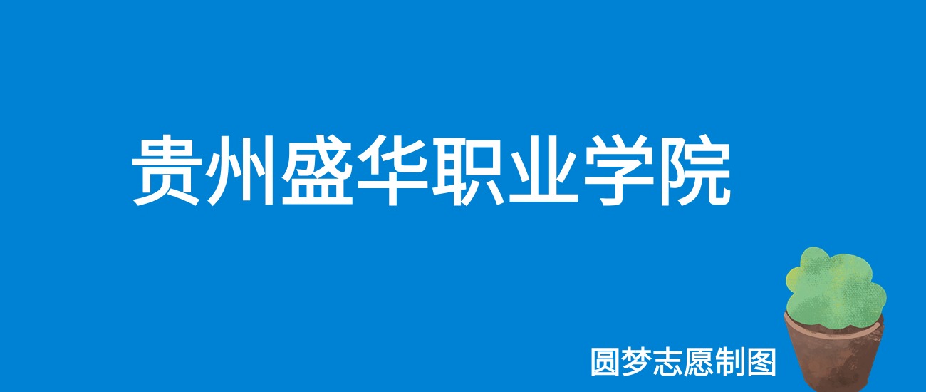 2024贵州盛华职业学院录取分数线（全国各省最低分及位次）