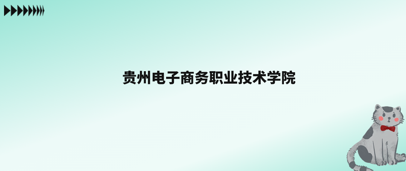 张雪峰评价贵州电子商务职业技术学院：王牌专业是大数据与会计