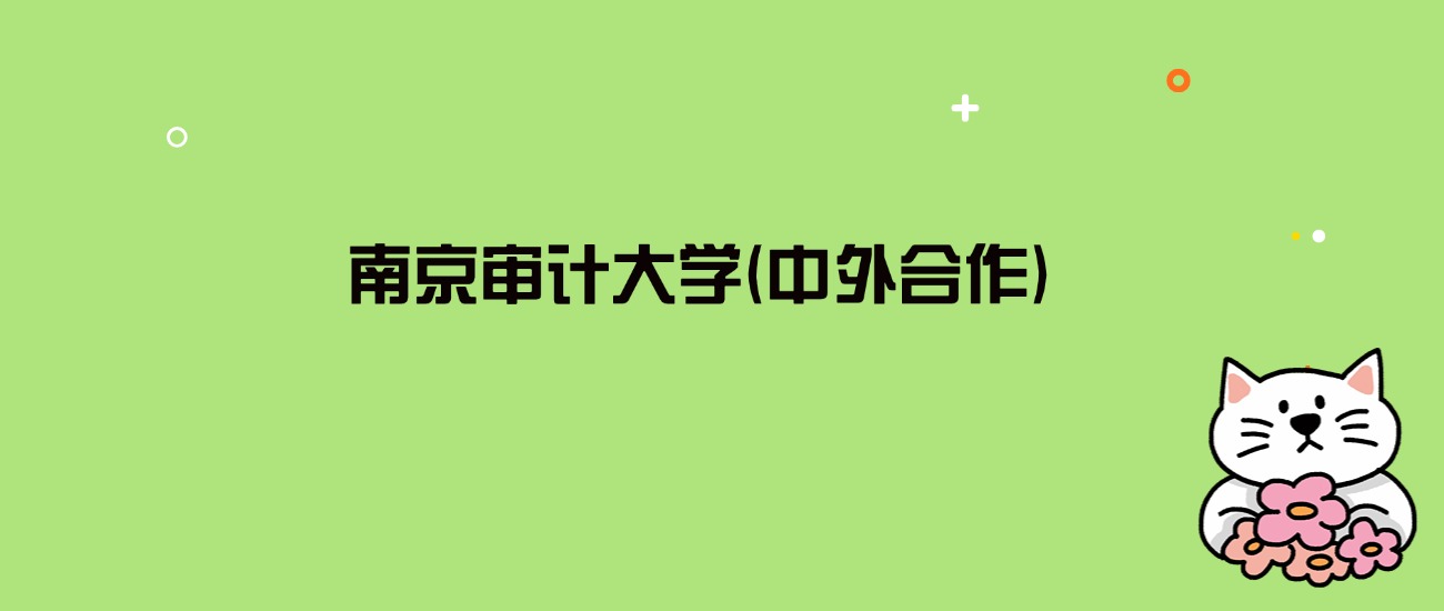 2024年南京审计大学(中外合作)录取分数线是多少？看4省最低分