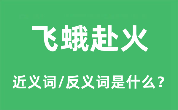 飞蛾赴火的近义词和反义词是什么,飞蛾赴火是什么意思