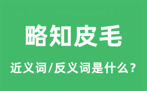 略知皮毛的近义词和反义词是什么,略知皮毛是什么意思