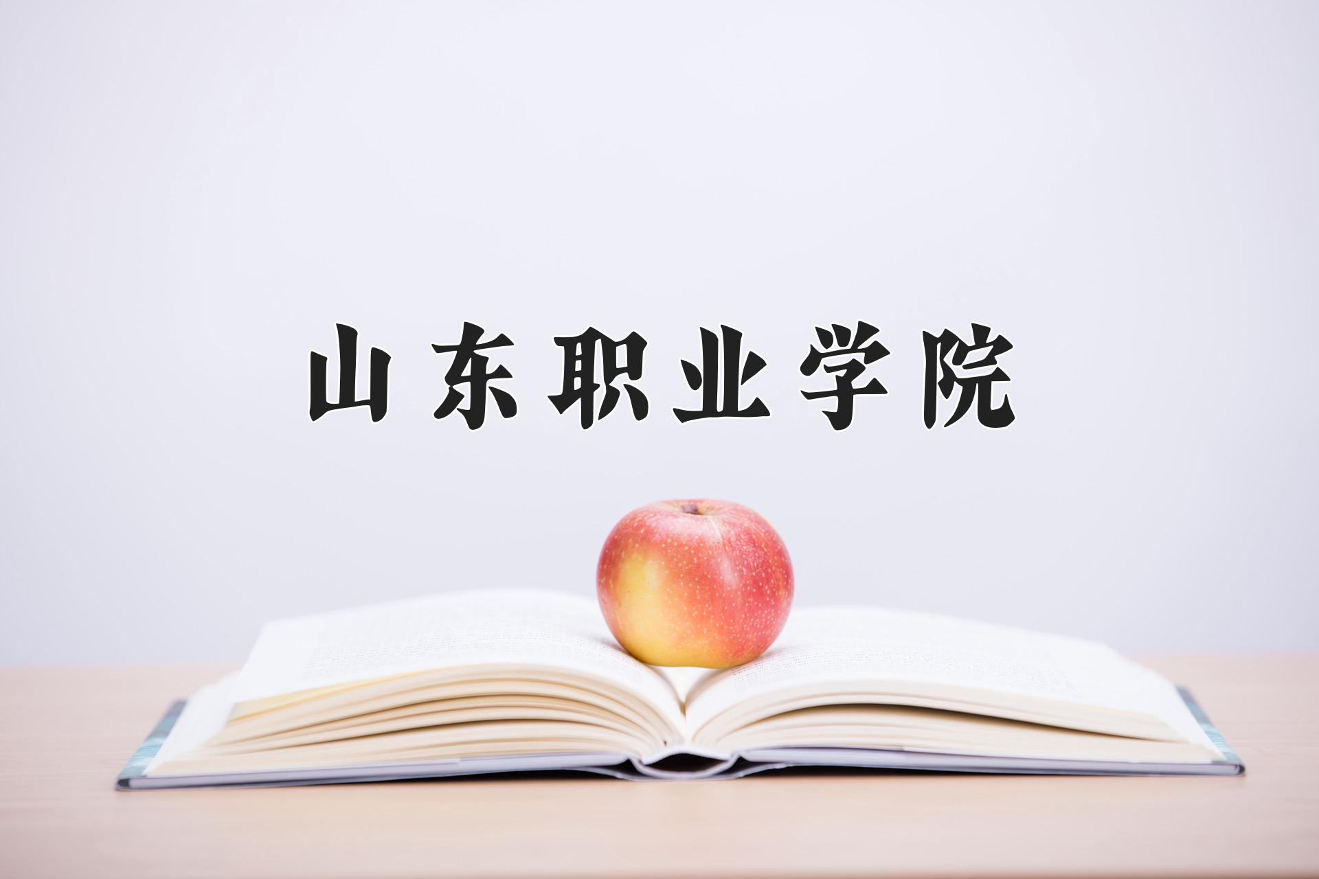 山东职业学院