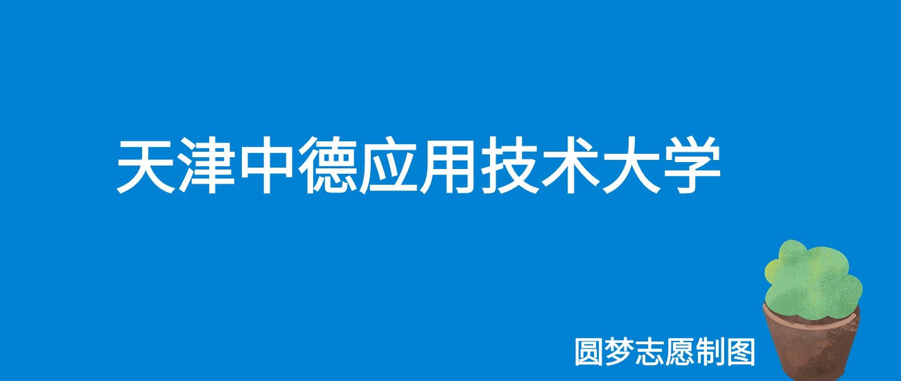 2024天津中德应用技术大学录取分数线（全国各省最低分及位次）