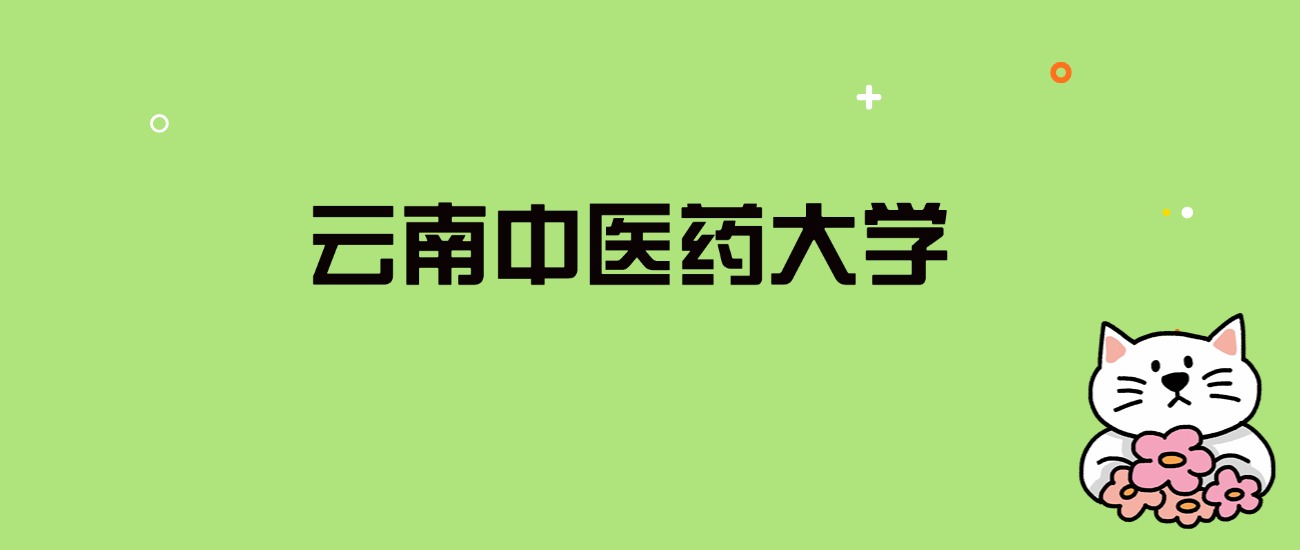 2024年云南中医药大学录取分数线是多少？看全国22省的最低分