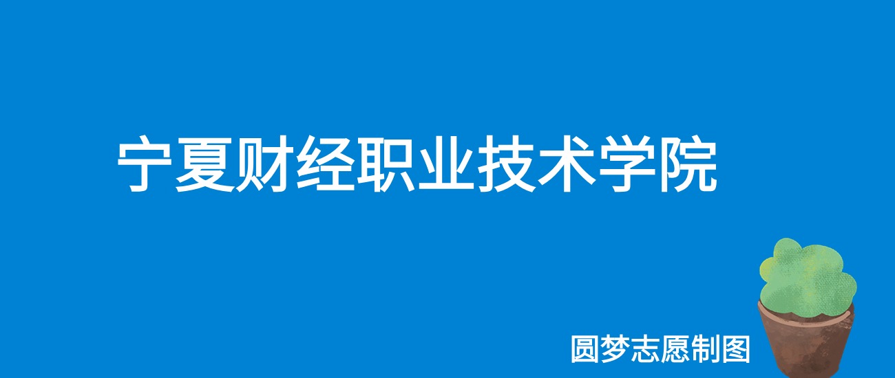 2024宁夏财经职业技术学院录取分数线（全国各省最低分及位次）