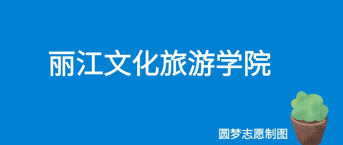 2024丽江文化旅游学院录取分数线（全国各省最低分及位次）