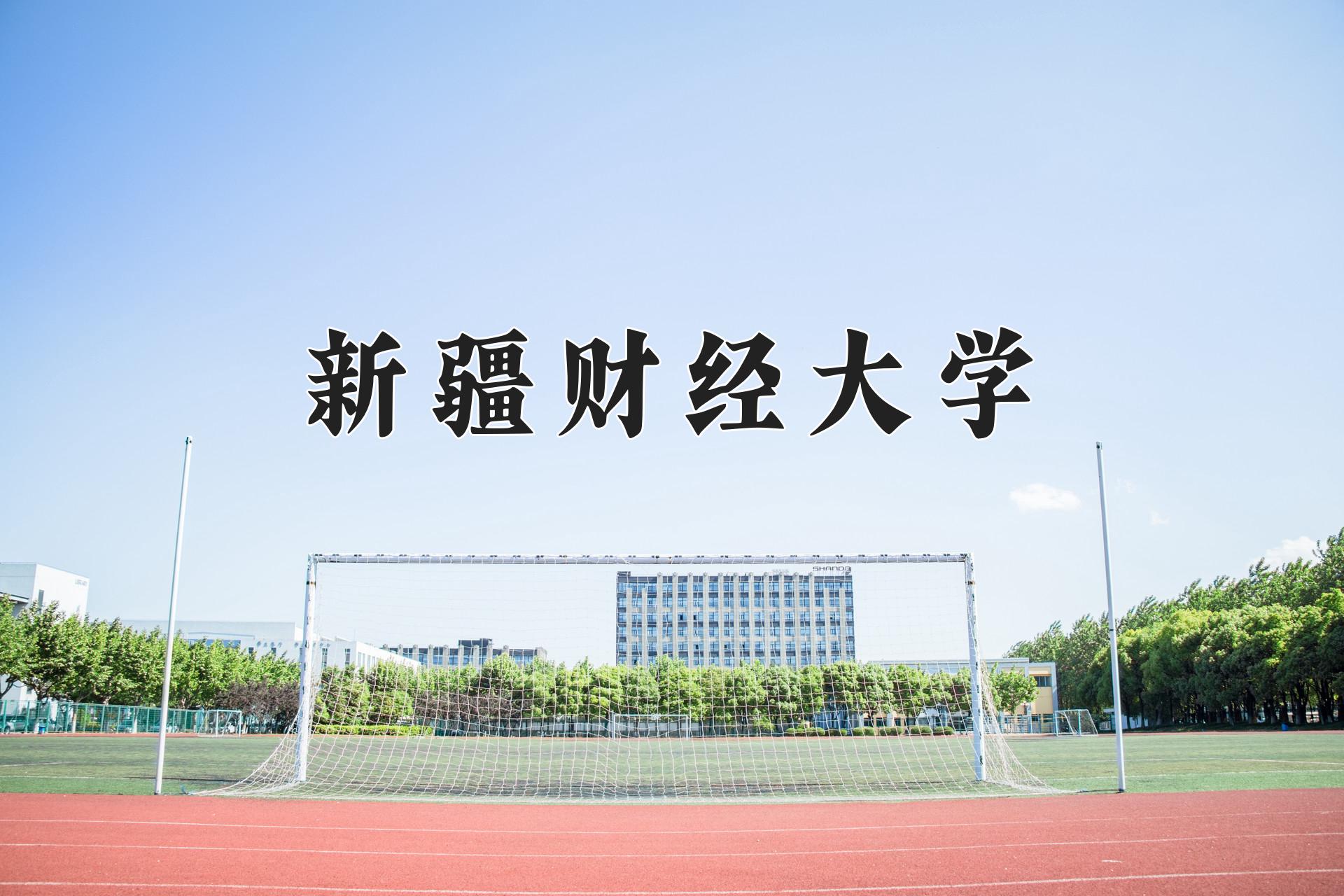 新疆财经大学