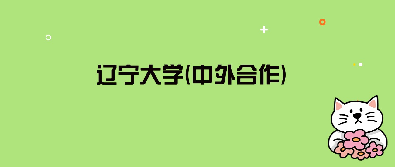 2024年辽宁大学(中外合作)录取分数线是多少？看全国4省的最低分